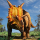 Illustration for article titled Check out Xenoceratops, the newly identified dinosaur with an ‘alien horned-face’